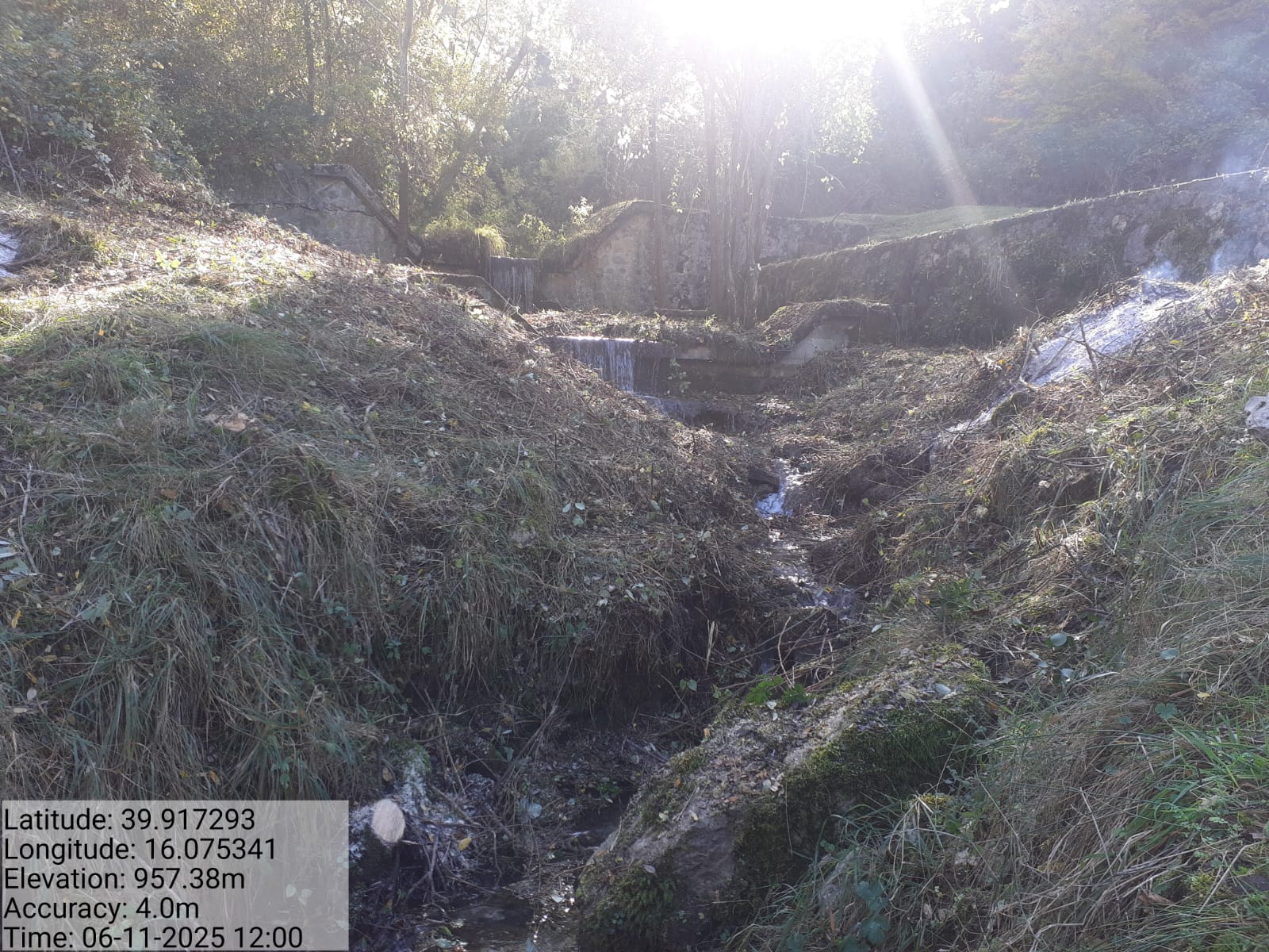 Galleria Fotografica Immagine