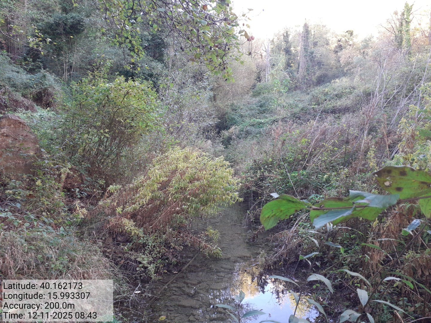 Galleria Fotografica Immagine