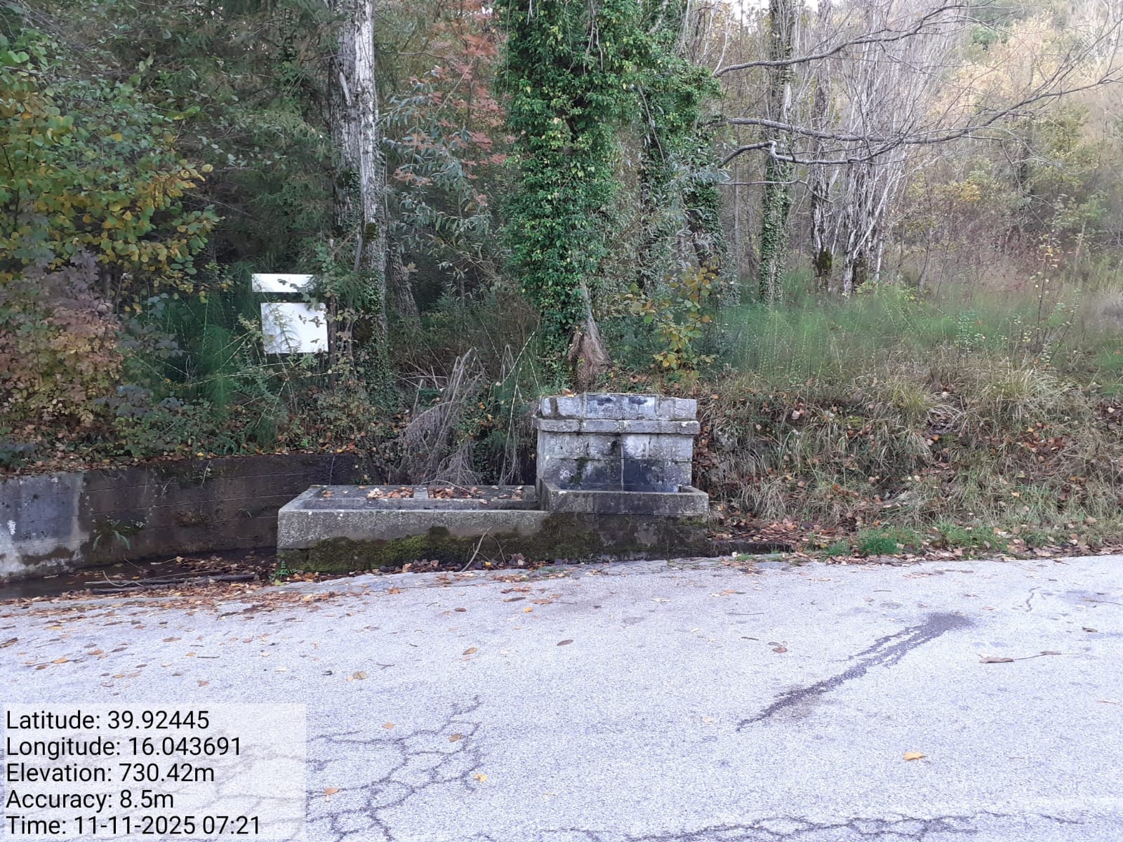 Galleria Fotografica Immagine