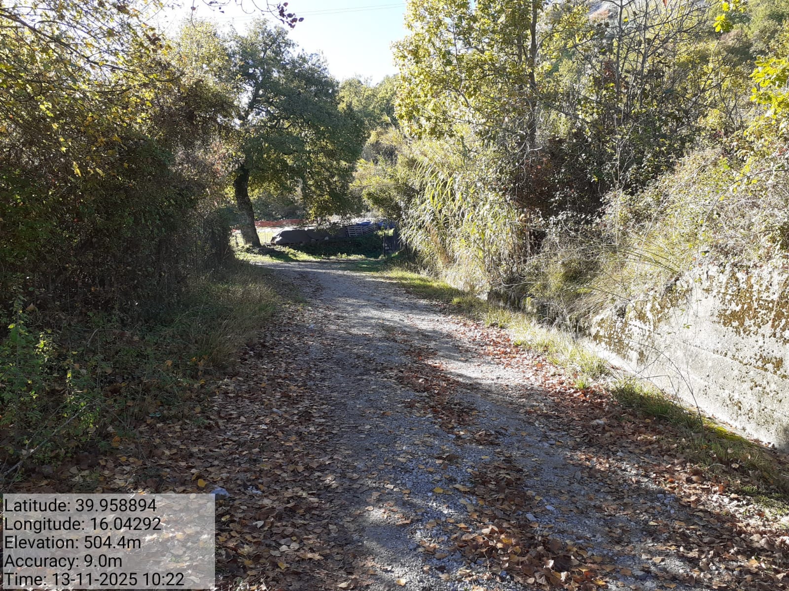 Galleria Fotografica Immagine