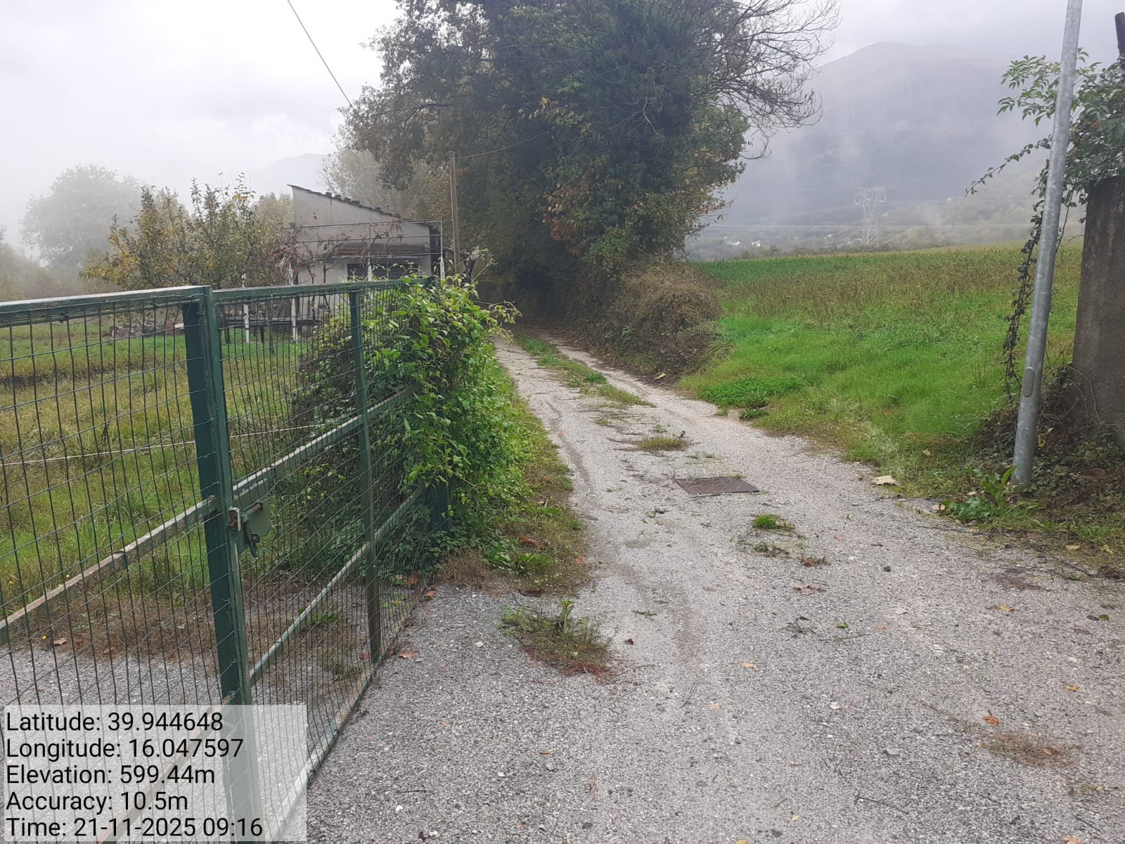 Galleria Fotografica Immagine