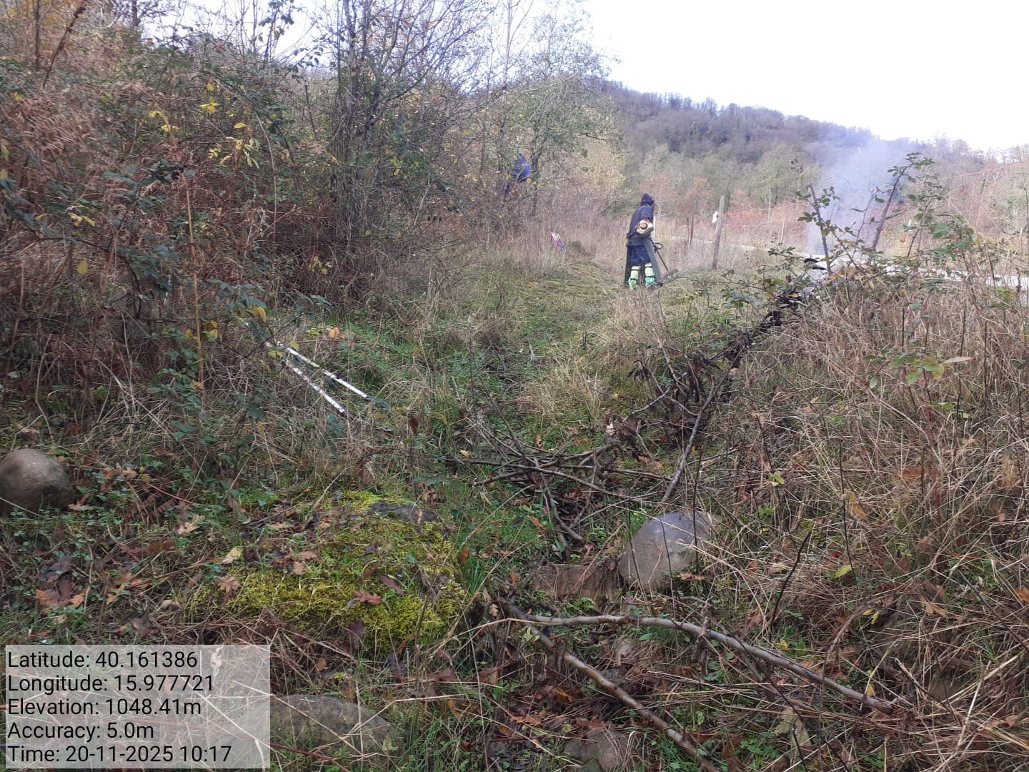 Galleria Fotografica Immagine