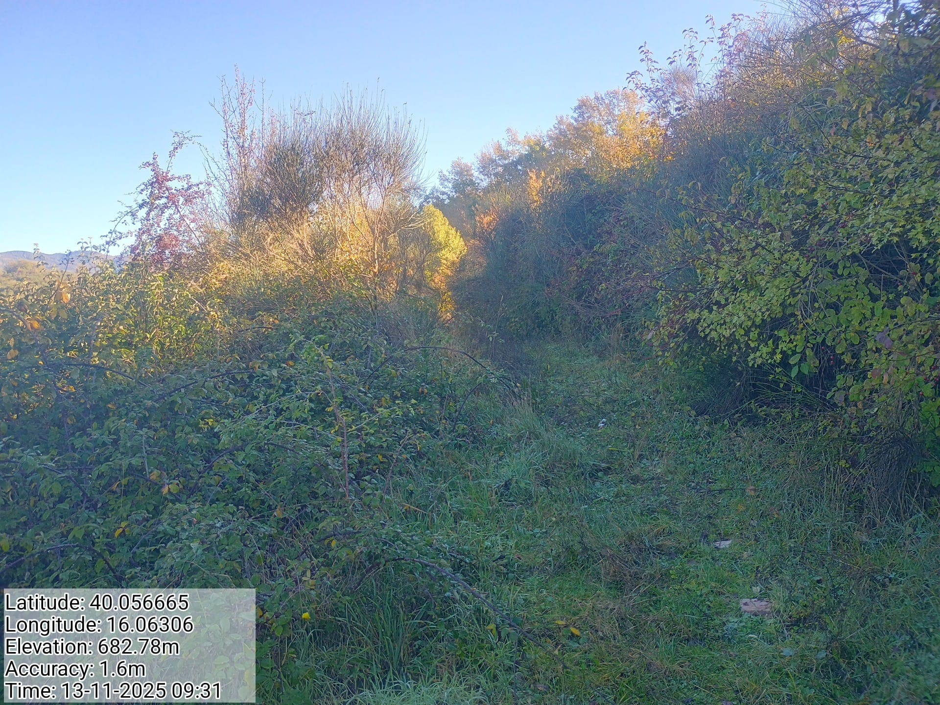 Galleria Fotografica Immagine