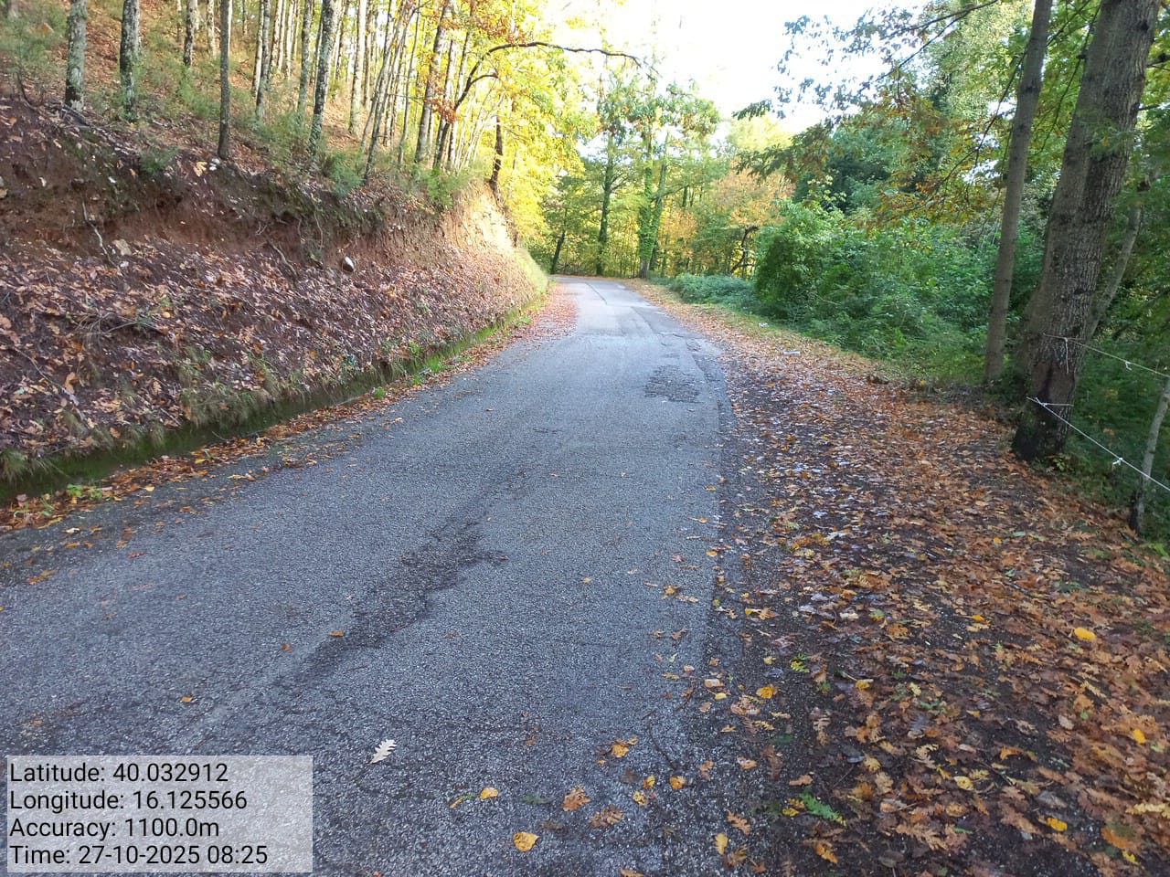 Galleria Fotografica Immagine