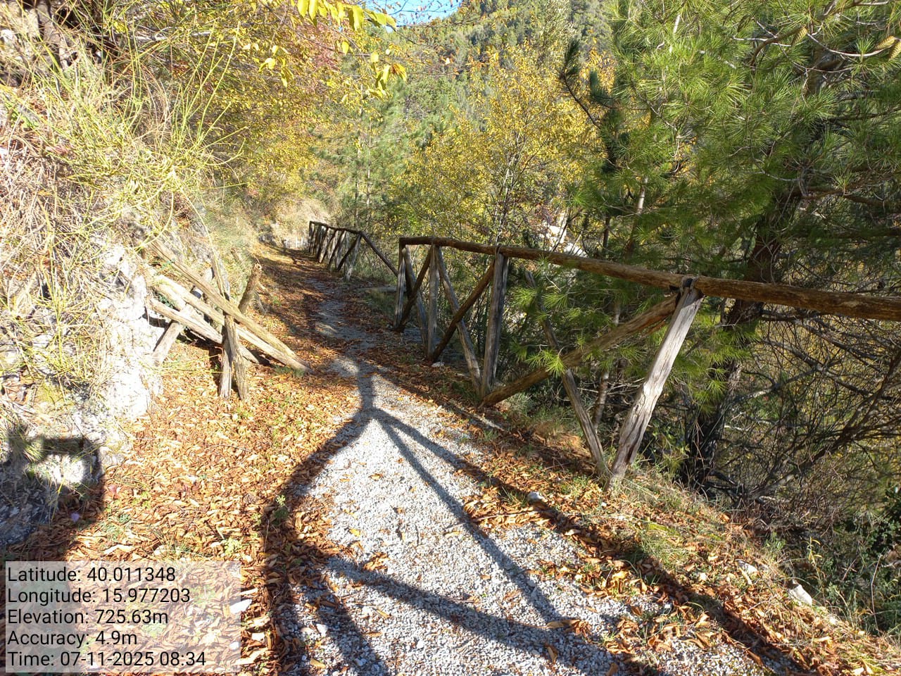 Galleria Fotografica Immagine