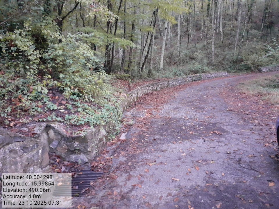 Galleria Fotografica Immagine