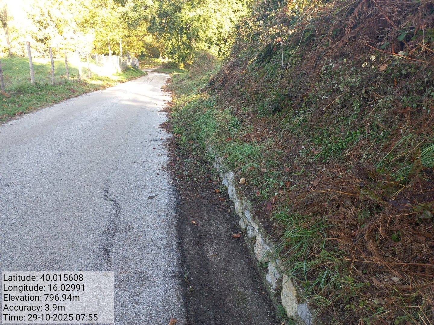 Galleria Fotografica Immagine