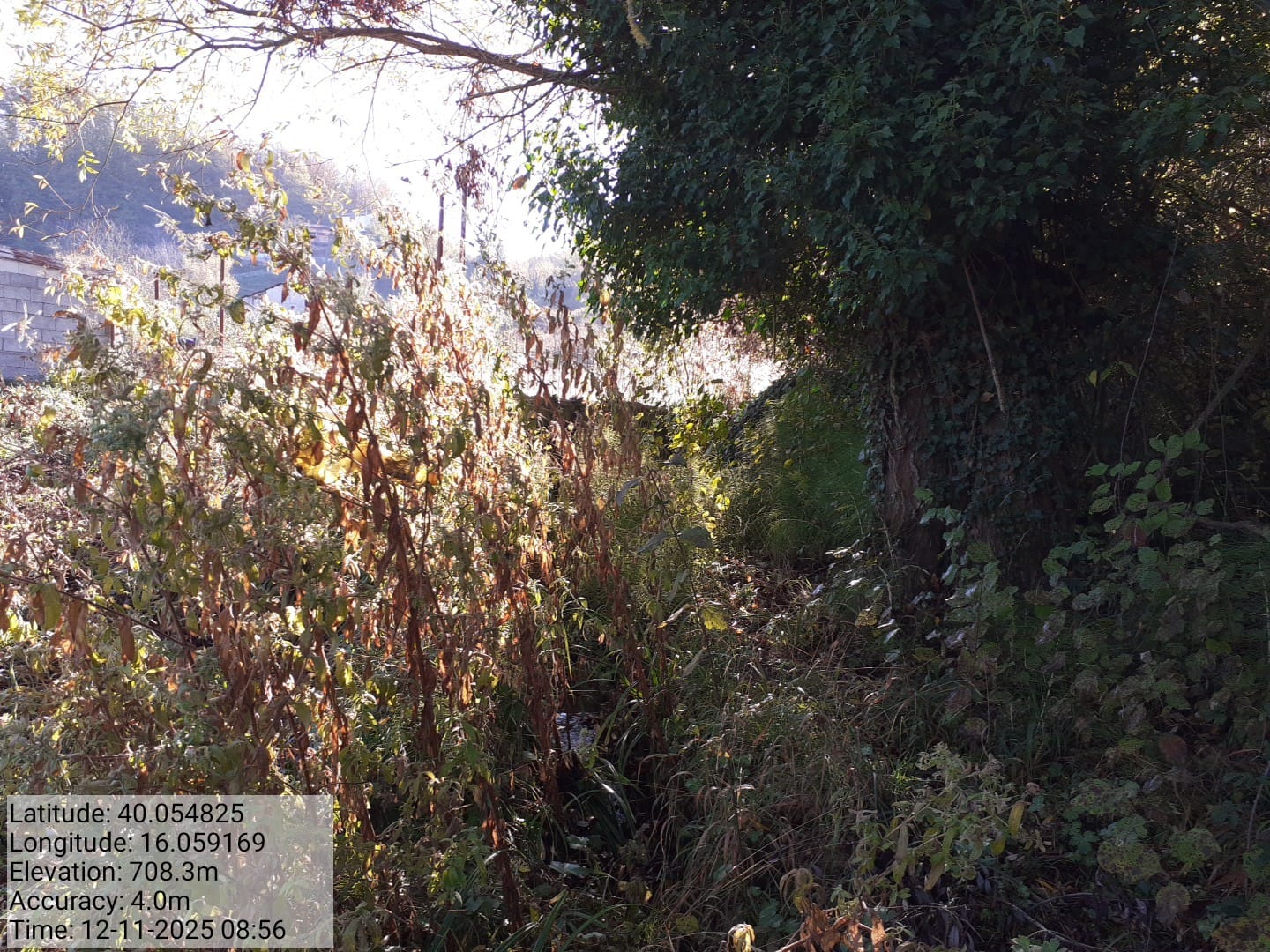 Galleria Fotografica Immagine