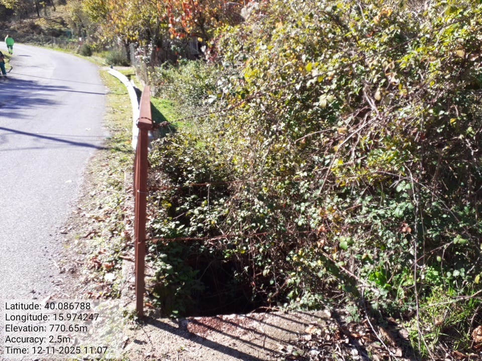 Galleria Fotografica Immagine