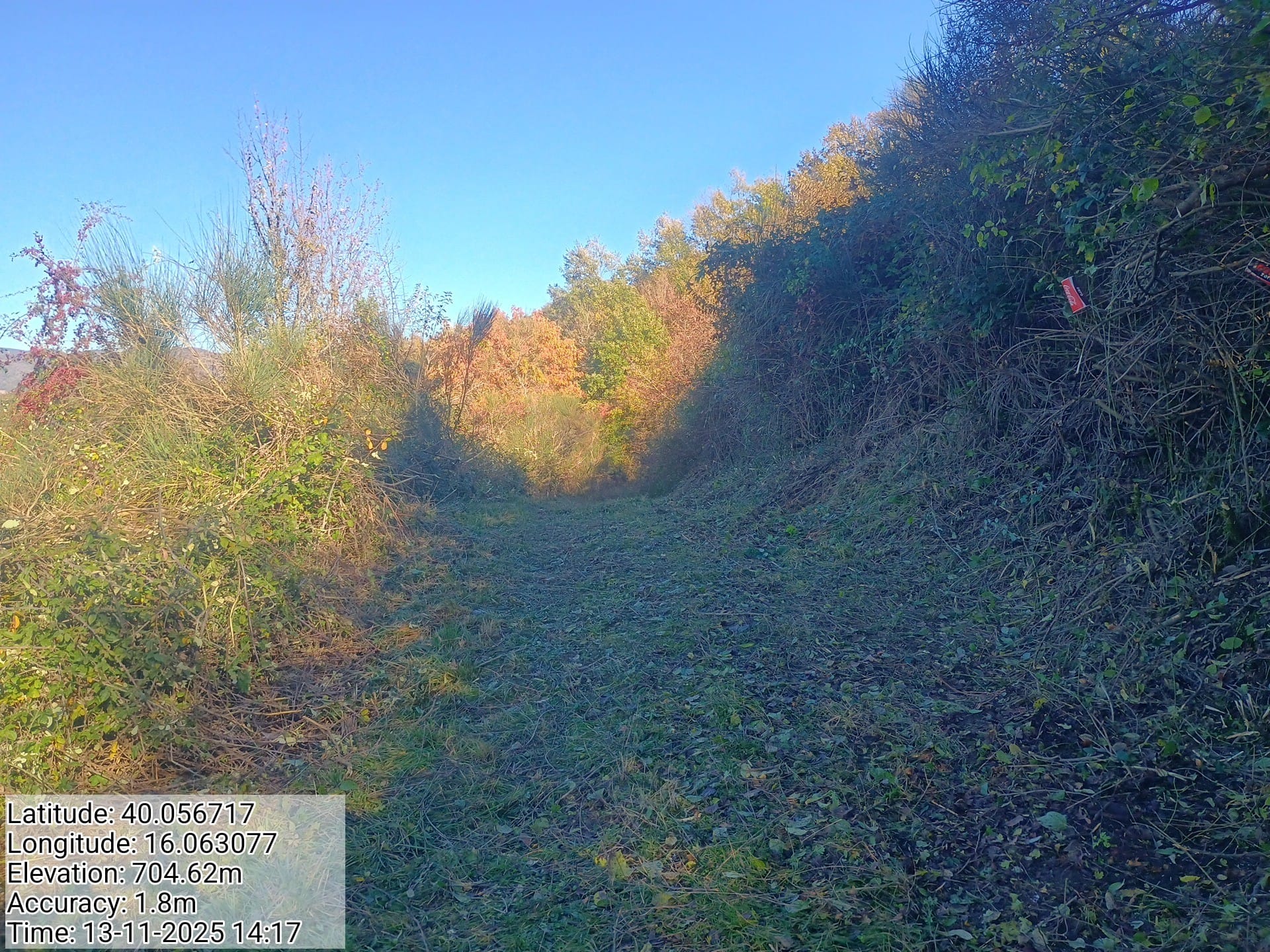 Galleria Fotografica Immagine