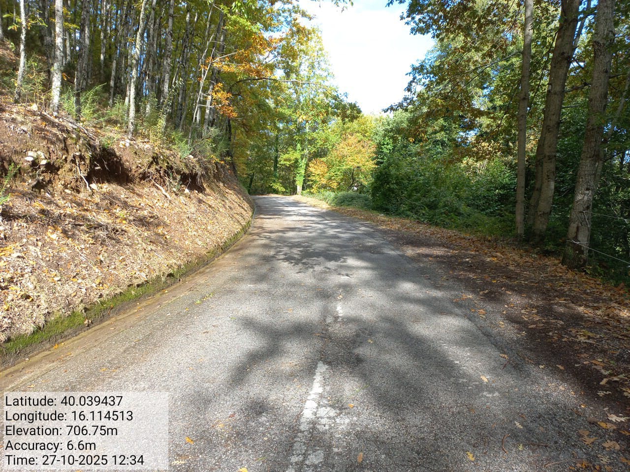 Galleria Fotografica Immagine