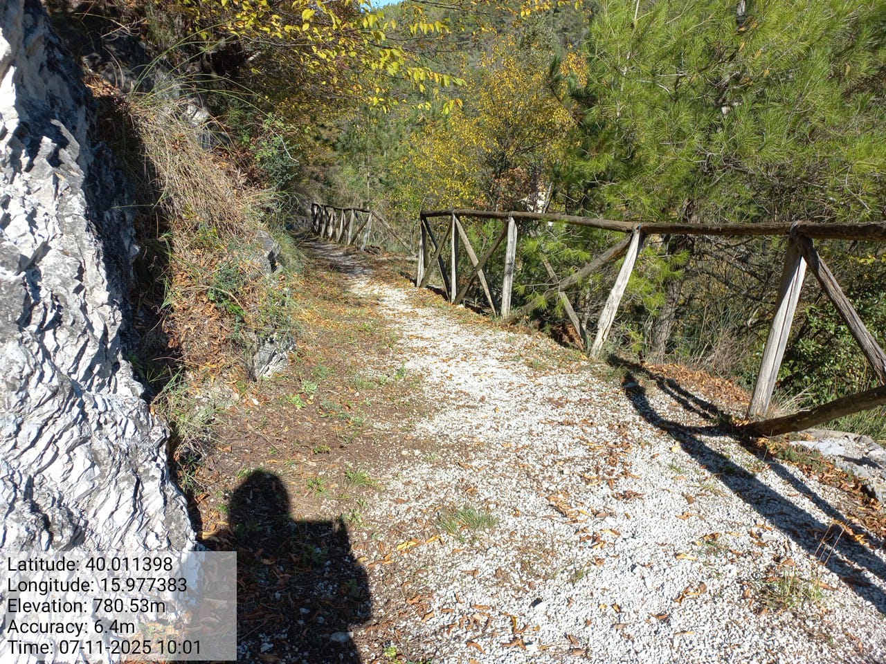 Galleria Fotografica Immagine