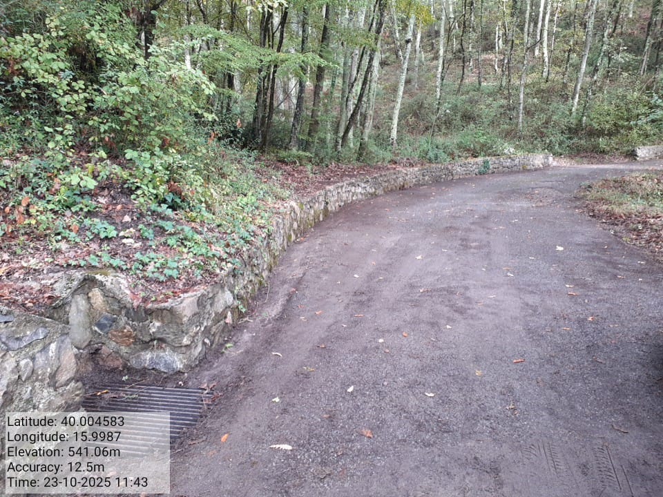 Galleria Fotografica Immagine