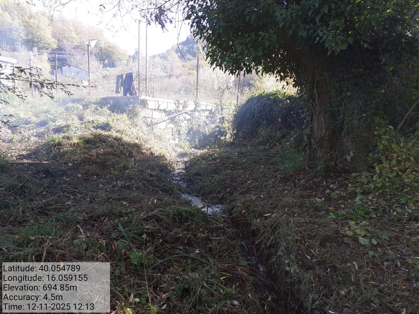 Galleria Fotografica Immagine