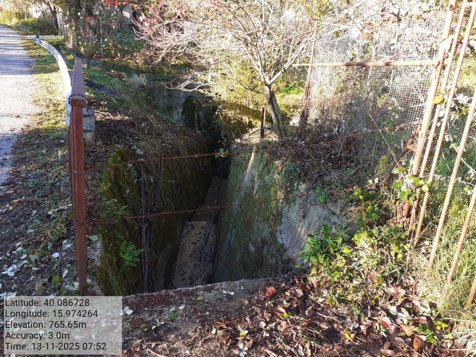 Galleria Fotografica Immagine