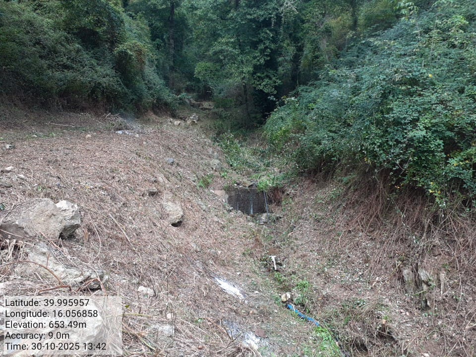 Galleria Fotografica Immagine