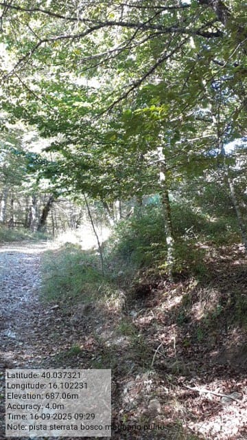 Galleria Fotografica Immagine