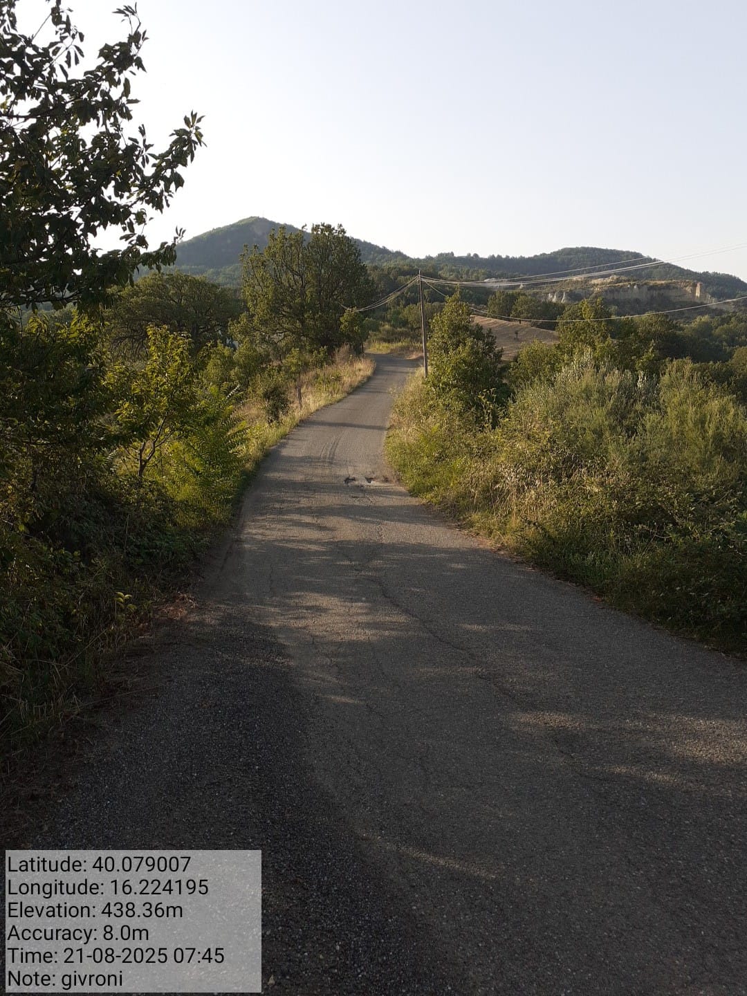 Galleria Fotografica Immagine