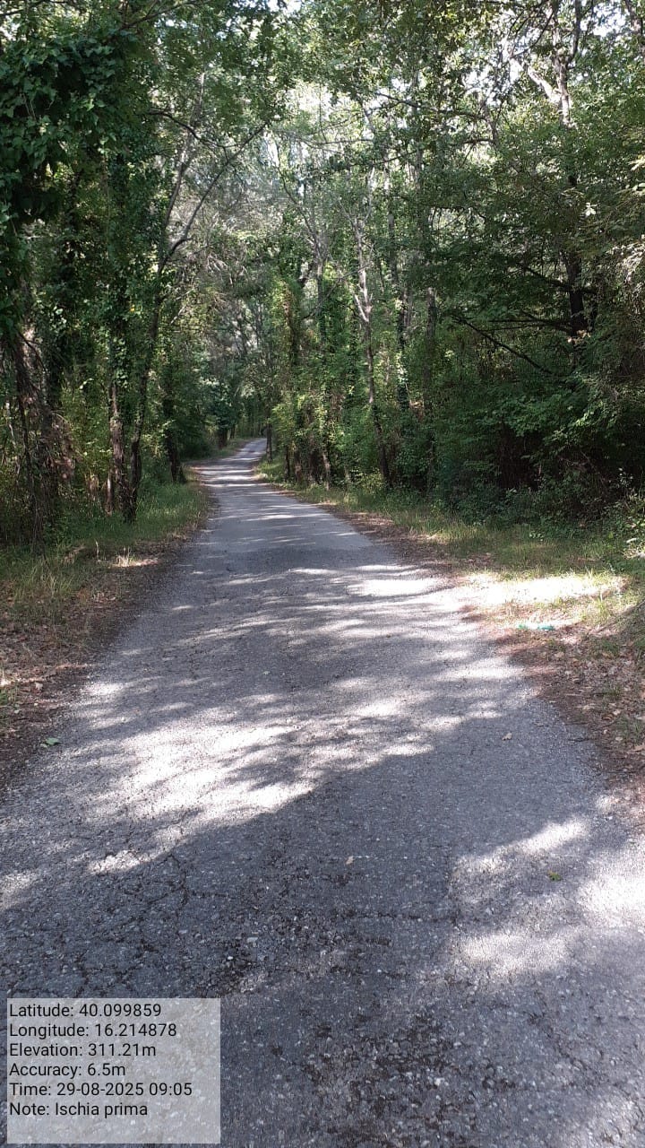 Galleria Fotografica Immagine