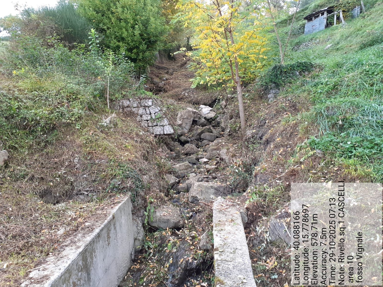 Galleria Fotografica Immagine