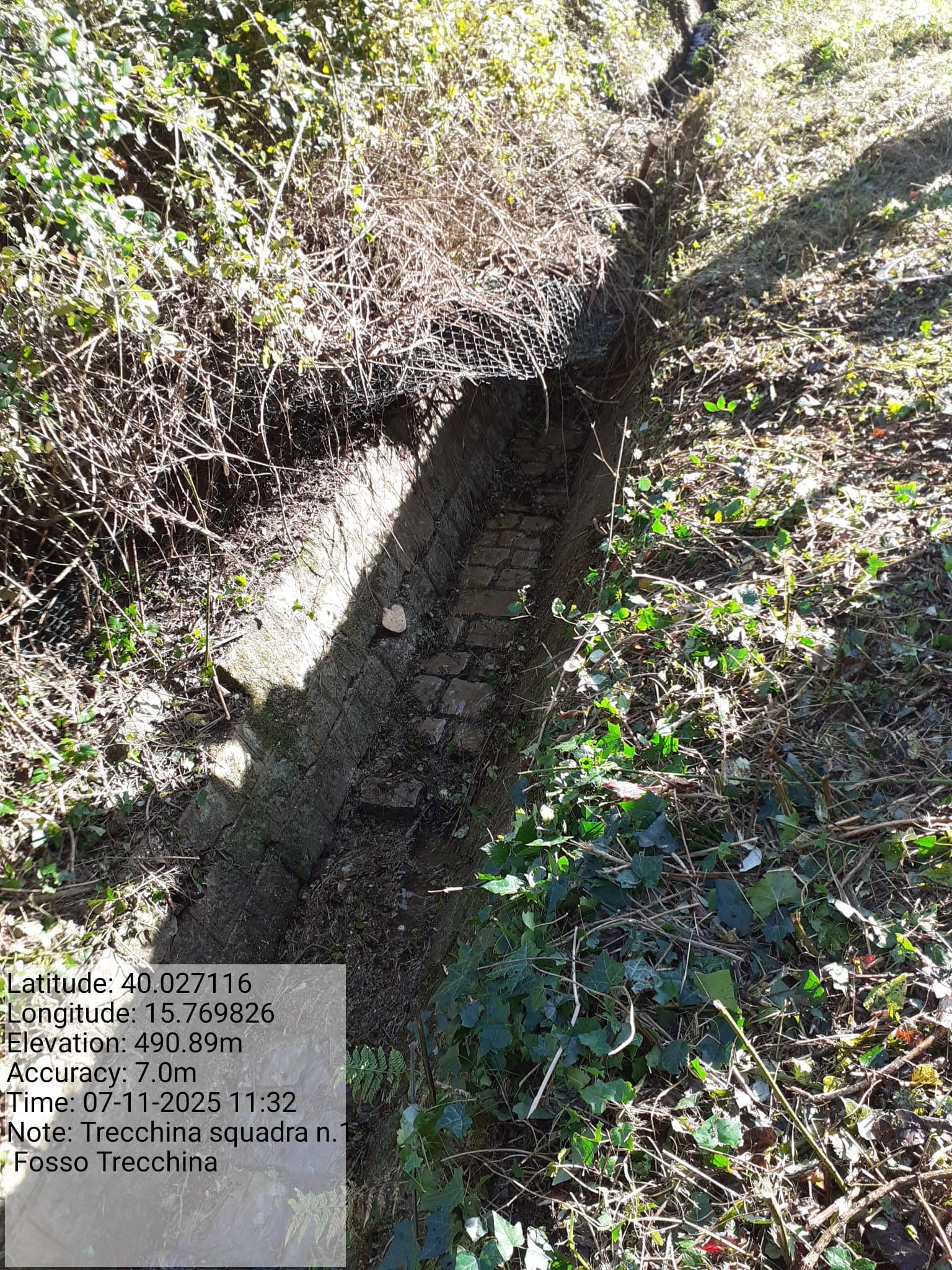 Galleria Fotografica Immagine