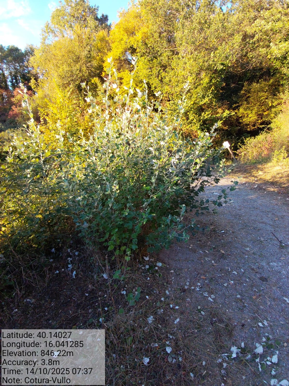 Galleria Fotografica Immagine