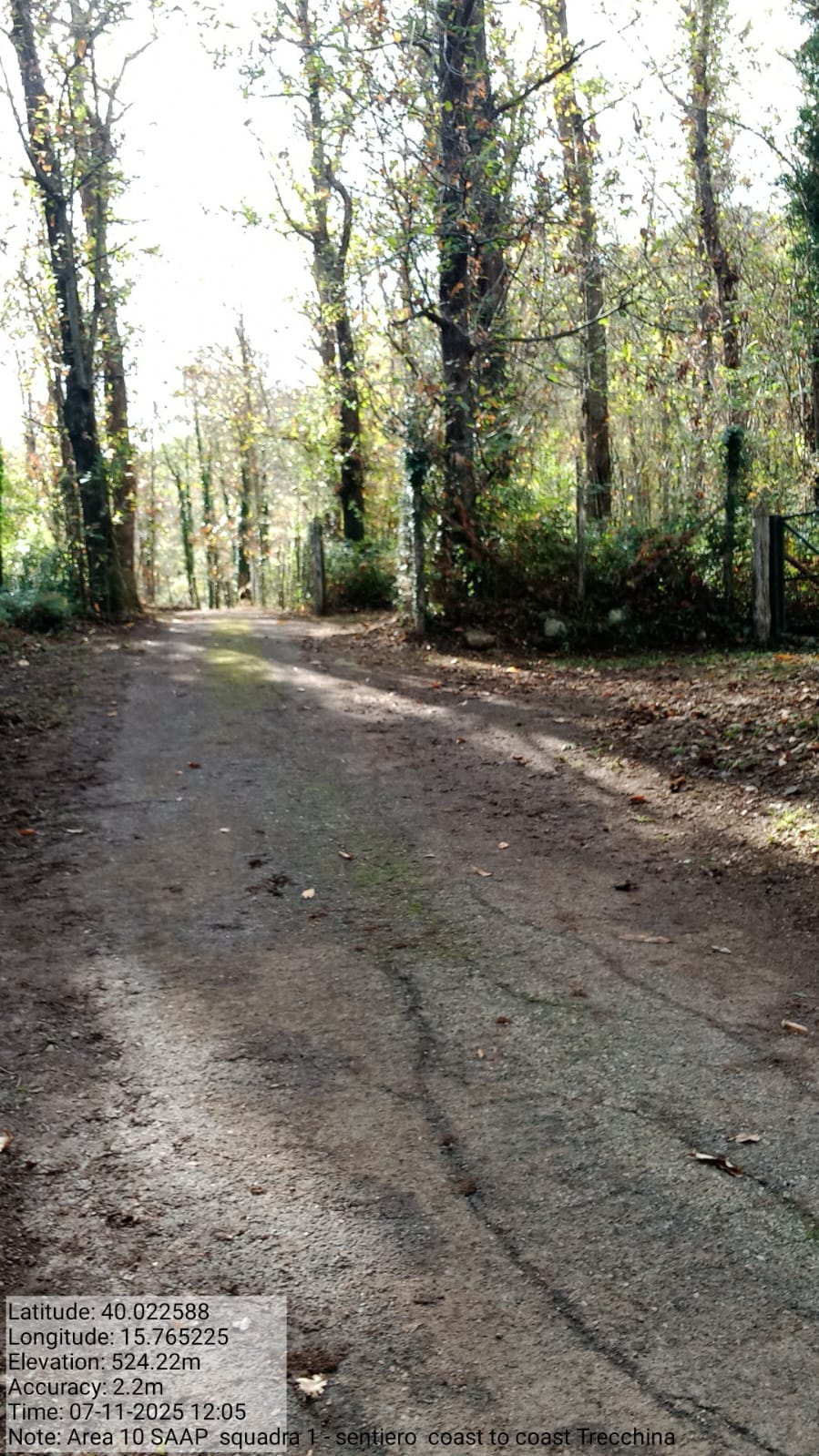 Galleria Fotografica Immagine