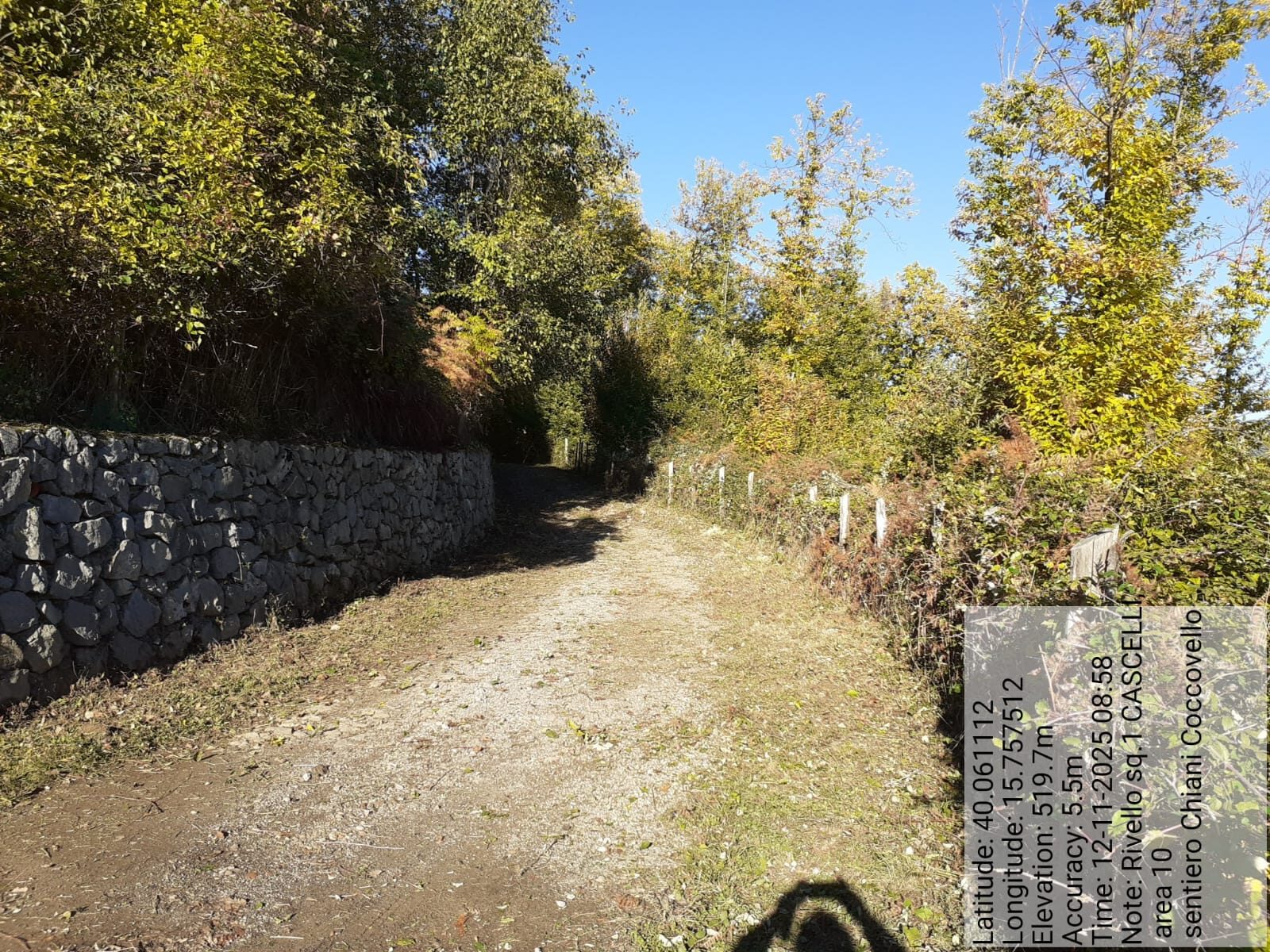 Galleria Fotografica Immagine