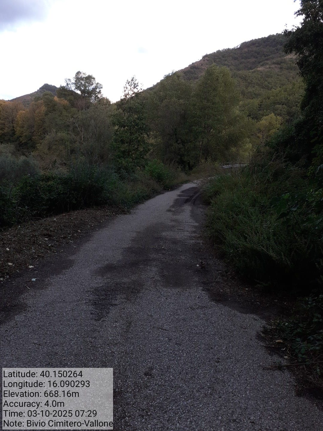 Galleria Fotografica Immagine