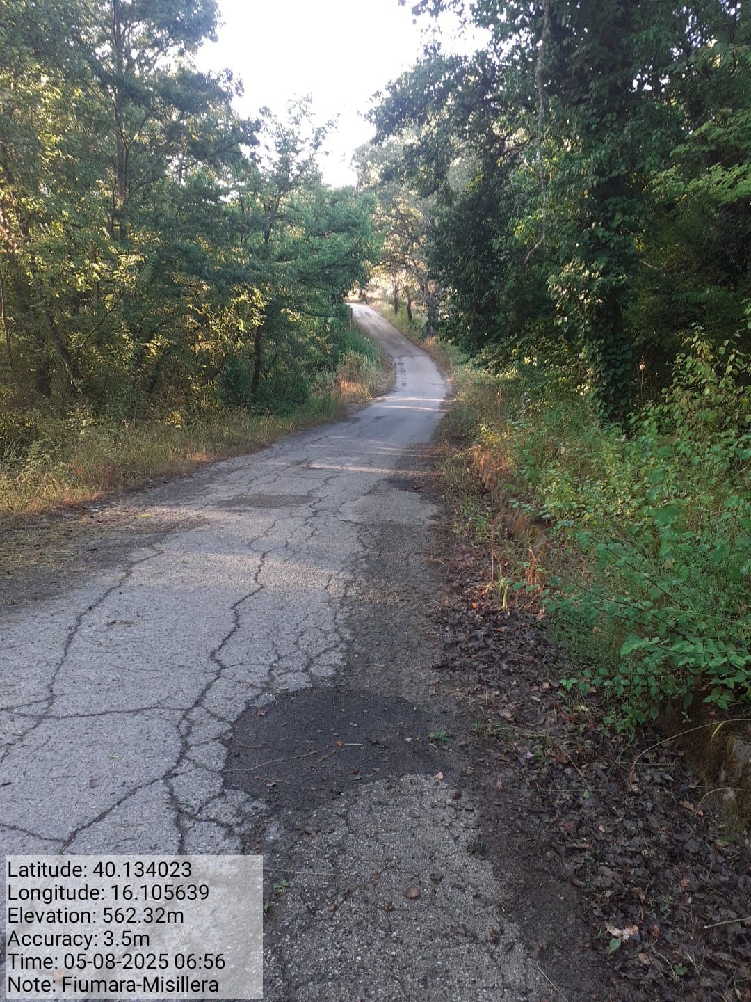 Galleria Fotografica Immagine