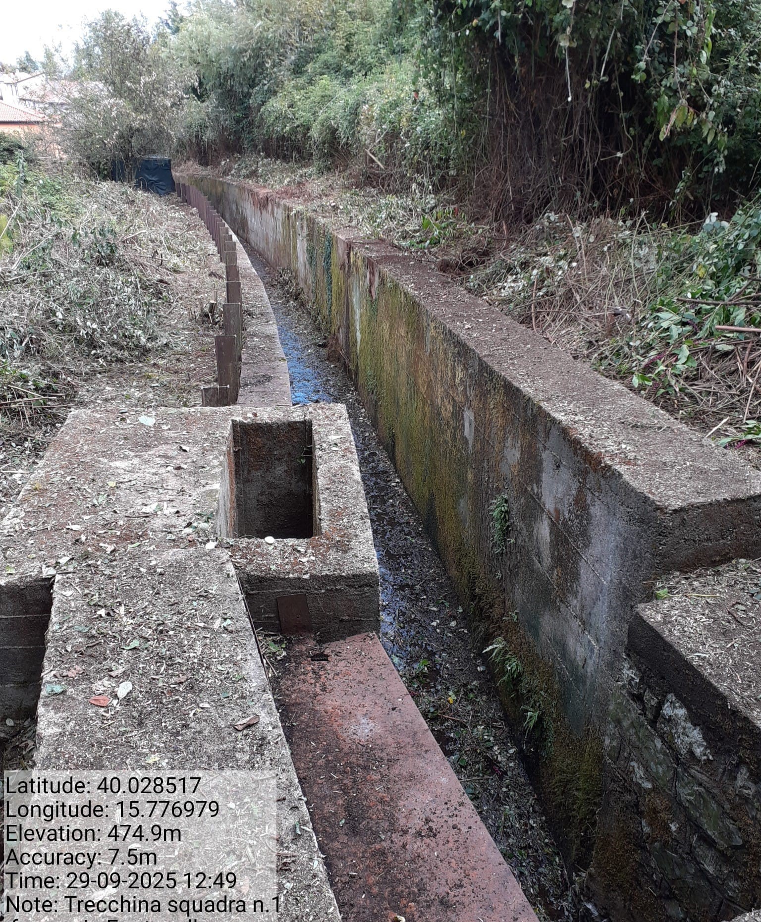 Galleria Fotografica Immagine