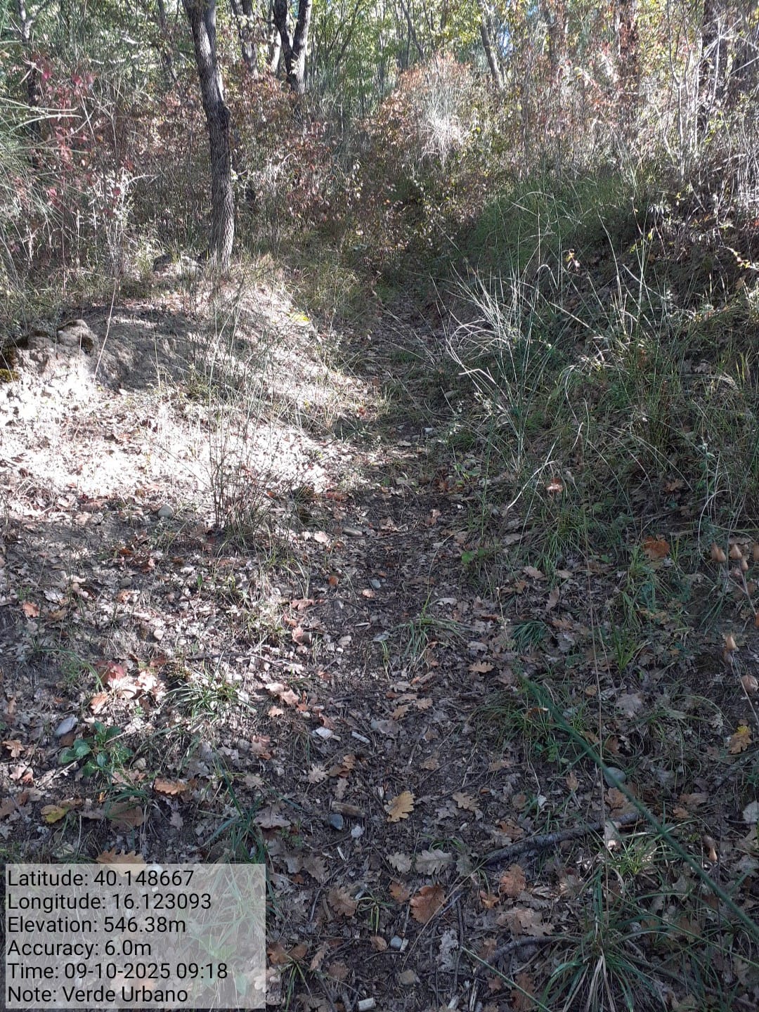 Galleria Fotografica Immagine