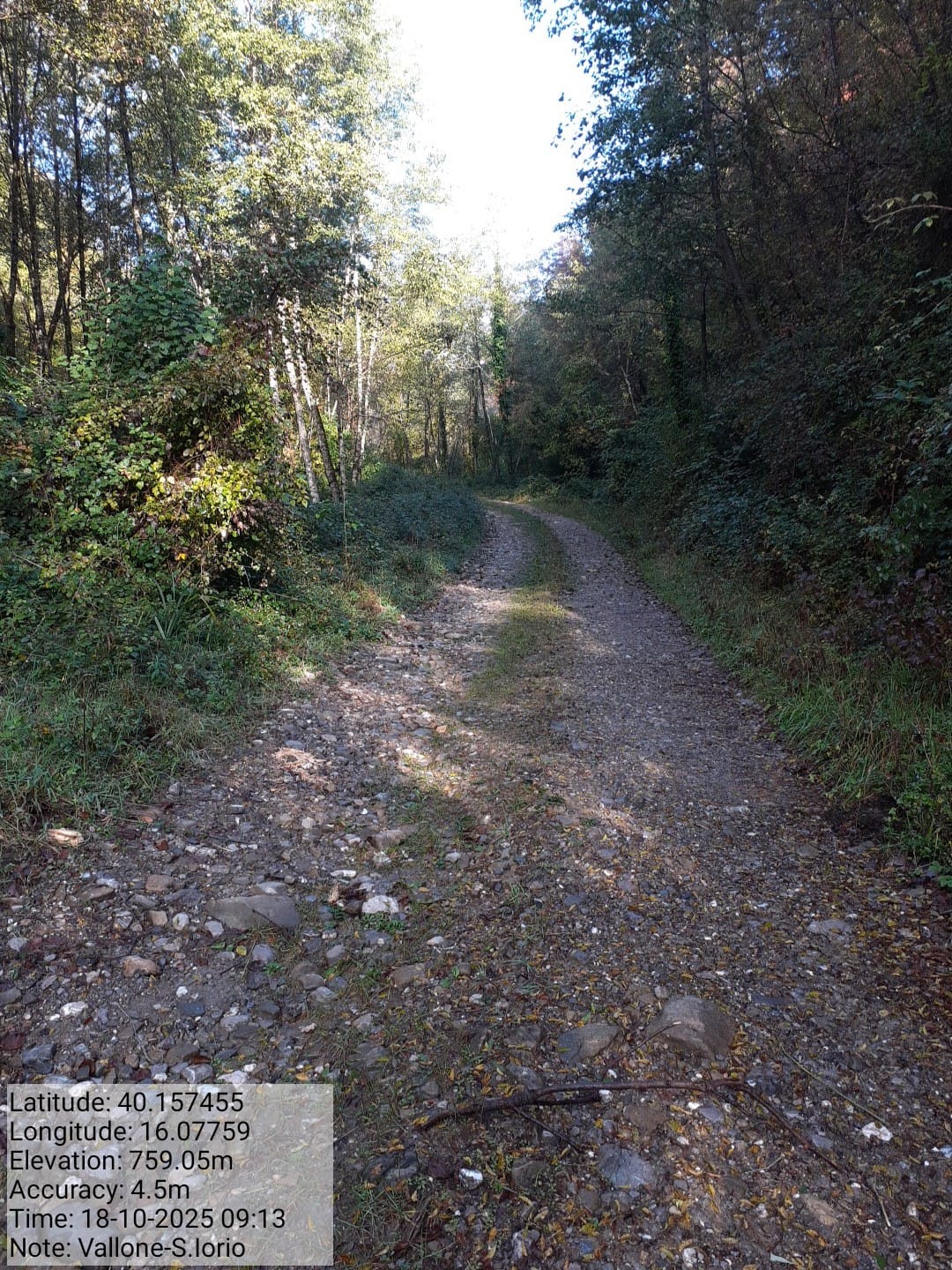 Galleria Fotografica Immagine