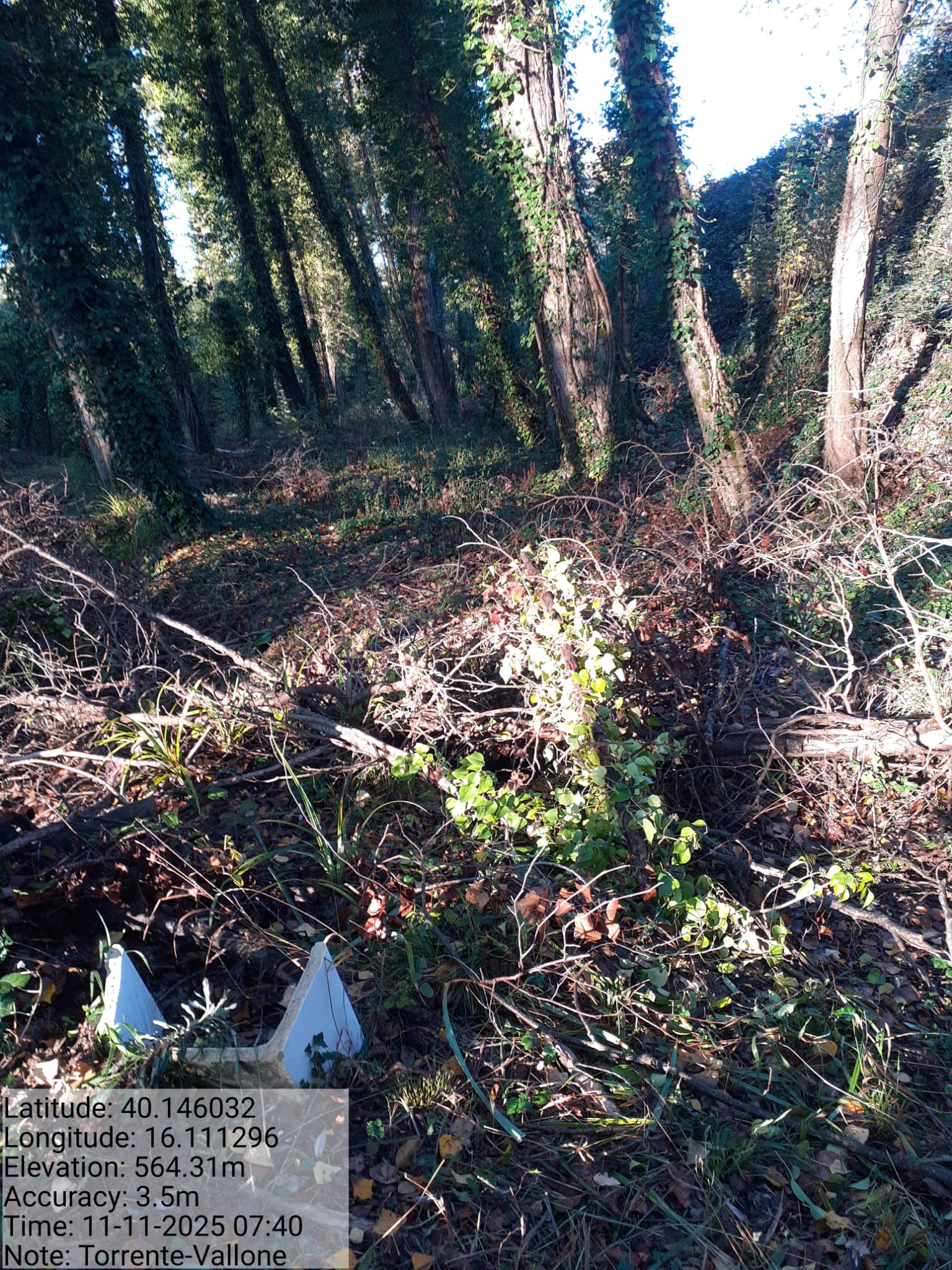 Galleria Fotografica Immagine