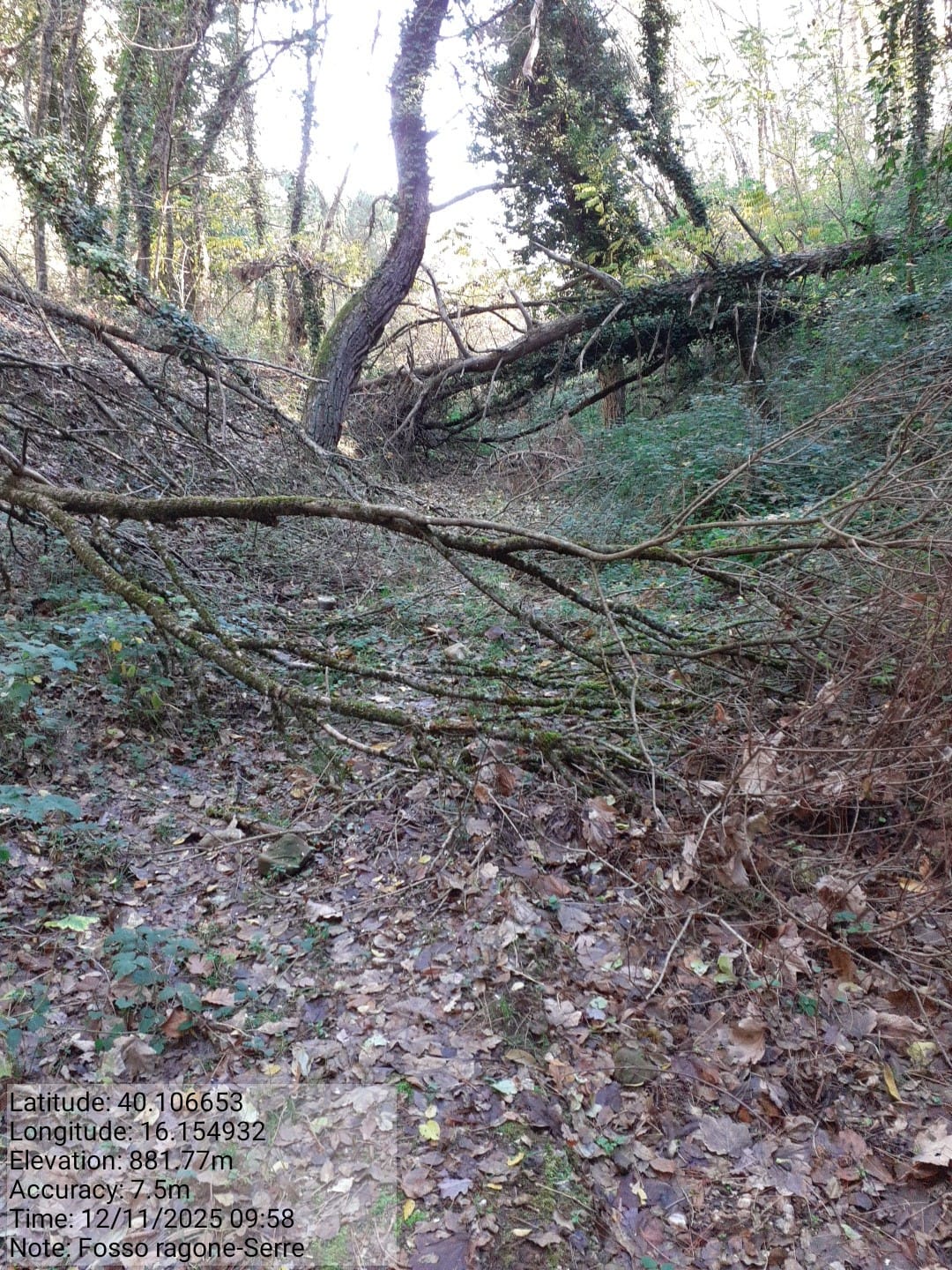 Galleria Fotografica Immagine