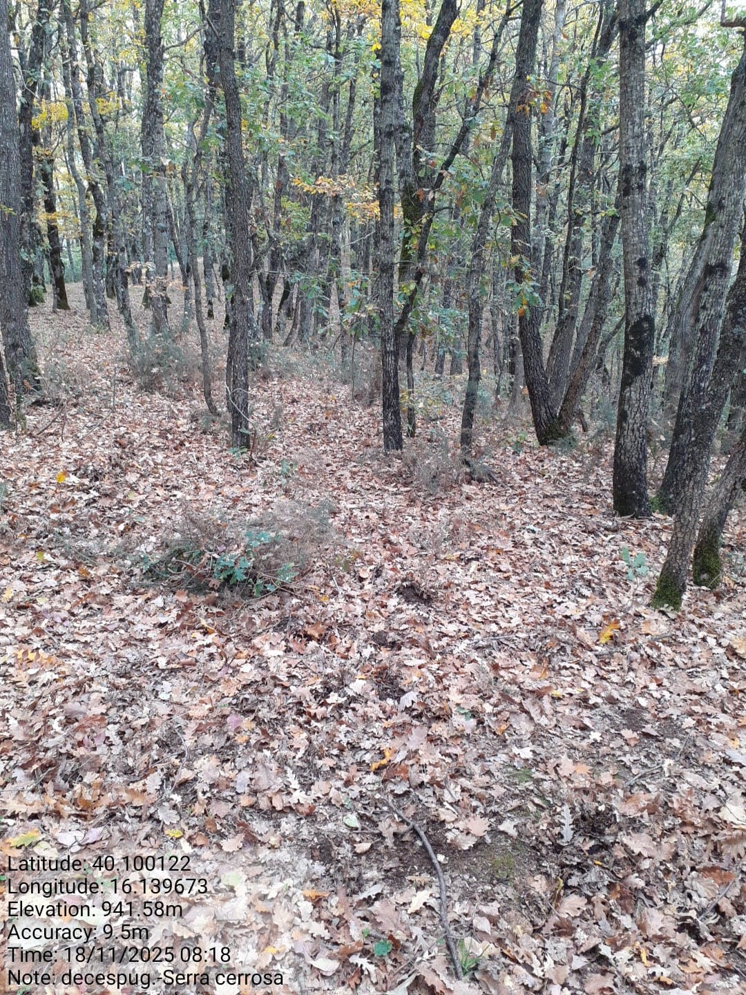 Galleria Fotografica Immagine