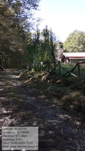 Galleria Fotografica Immagine