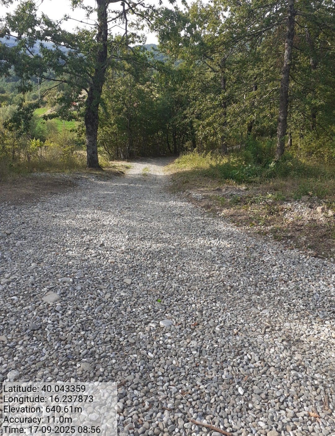 Galleria Fotografica Immagine