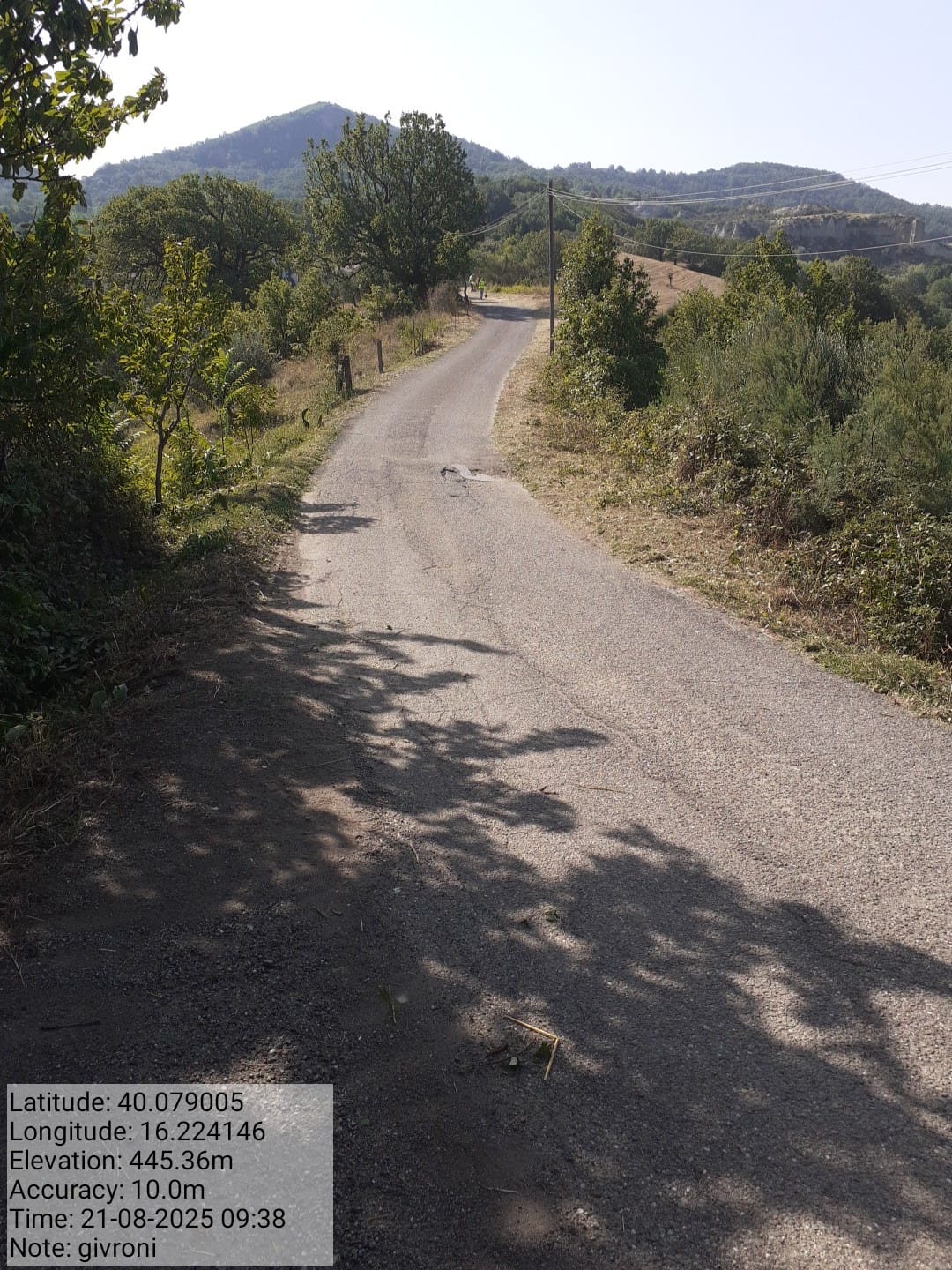 Galleria Fotografica Immagine