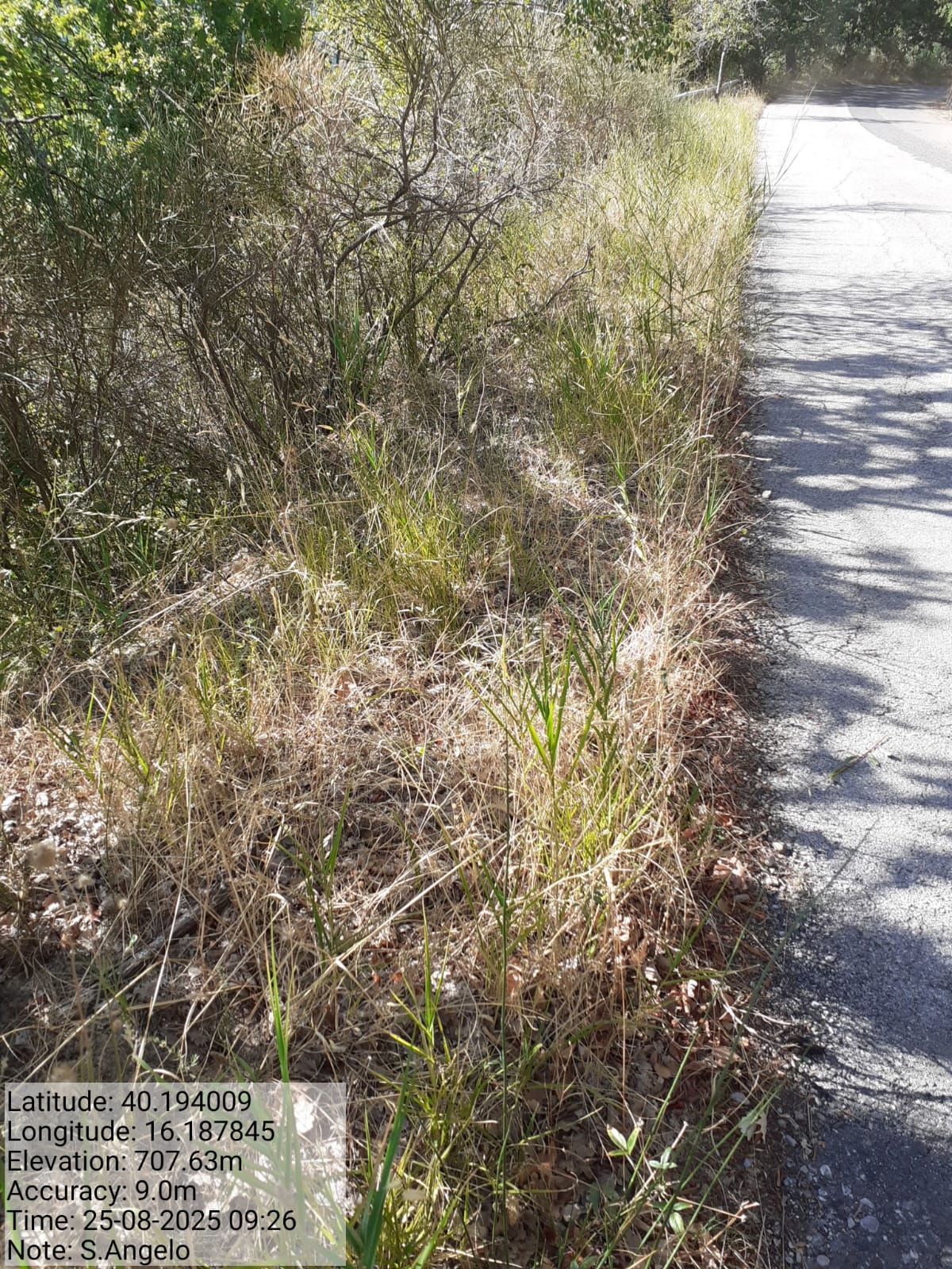 Galleria Fotografica Immagine