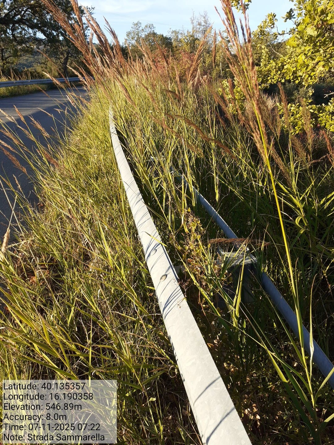 Galleria Fotografica Immagine