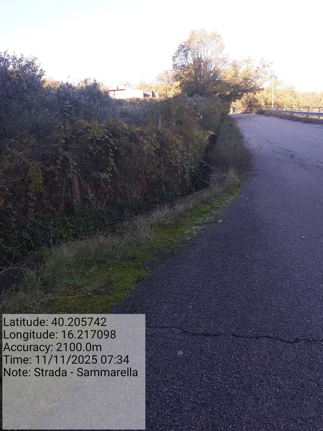 Galleria Fotografica Immagine