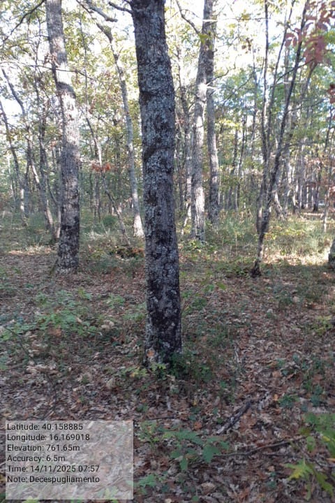 Galleria Fotografica Immagine