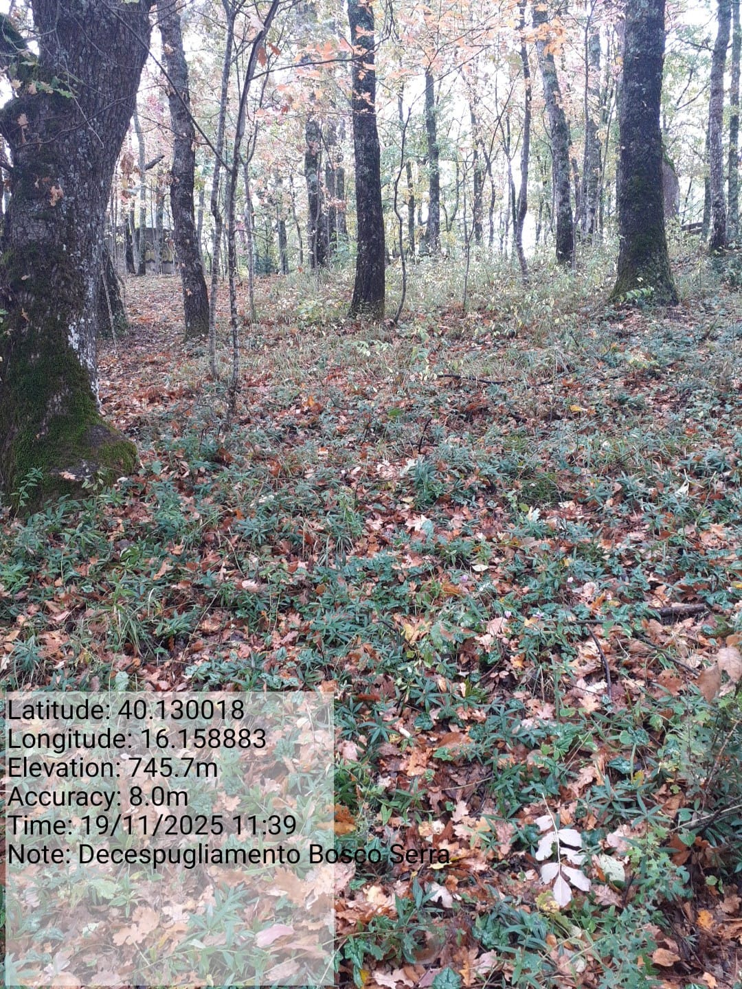 Galleria Fotografica Immagine