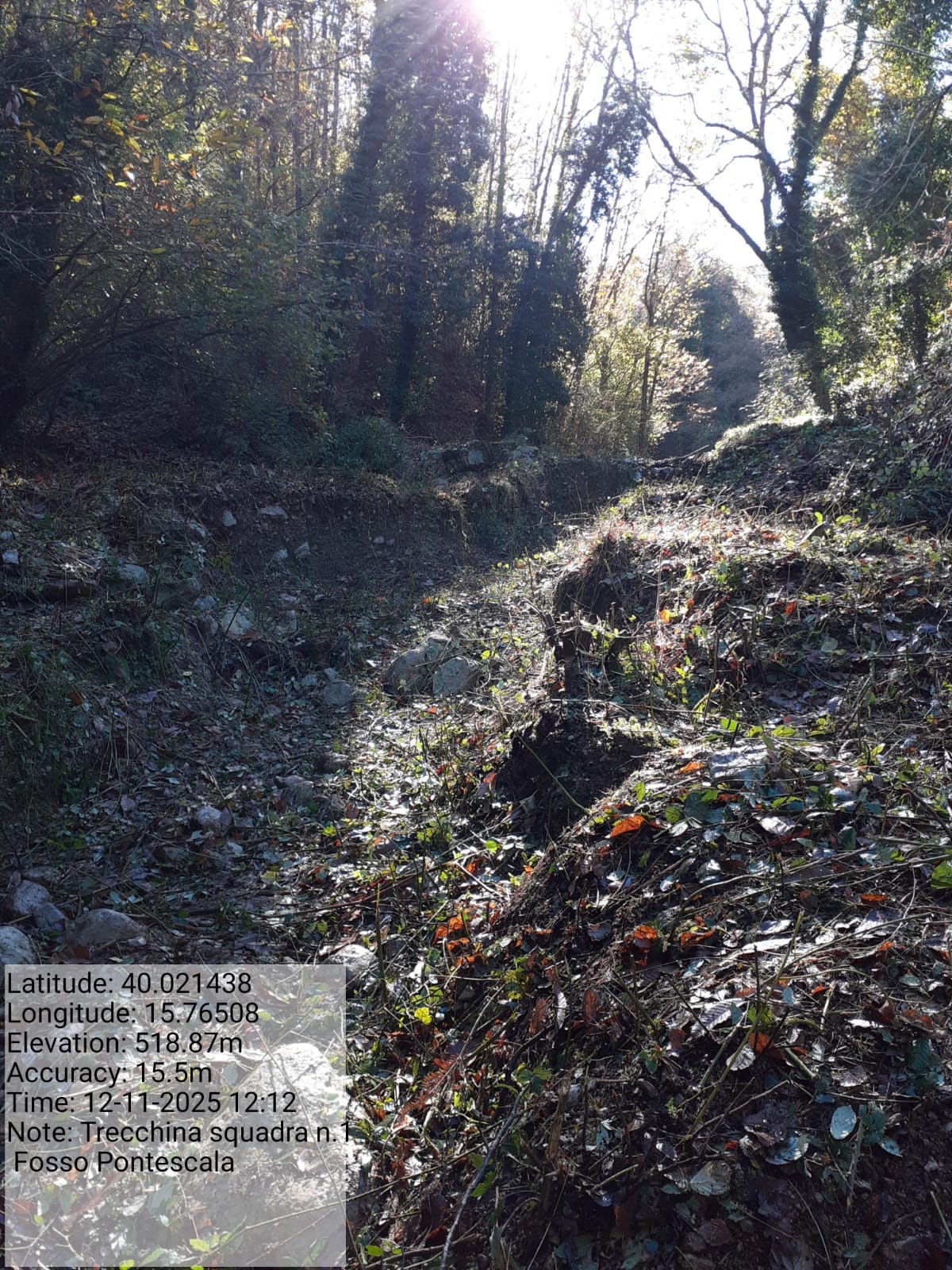 Galleria Fotografica Immagine