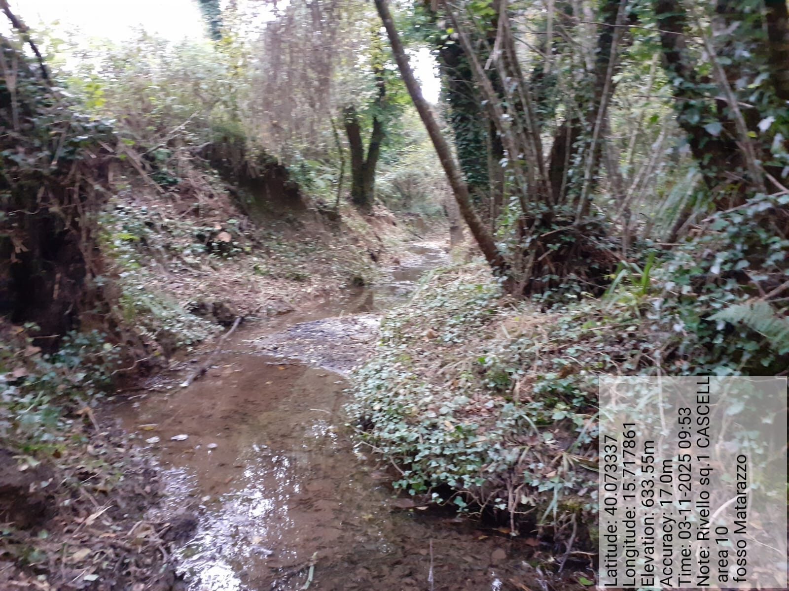 Galleria Fotografica Immagine