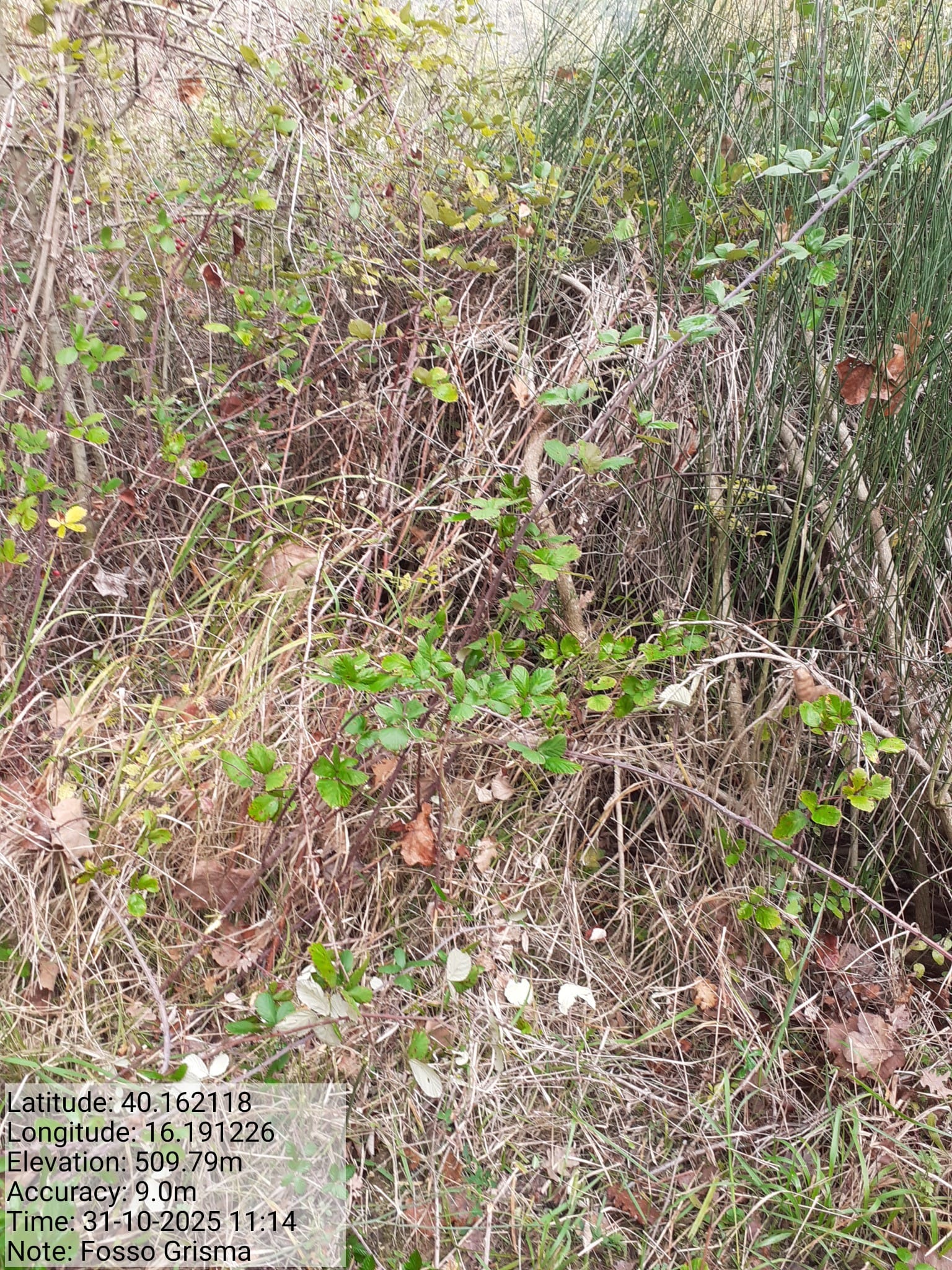 Galleria Fotografica Immagine