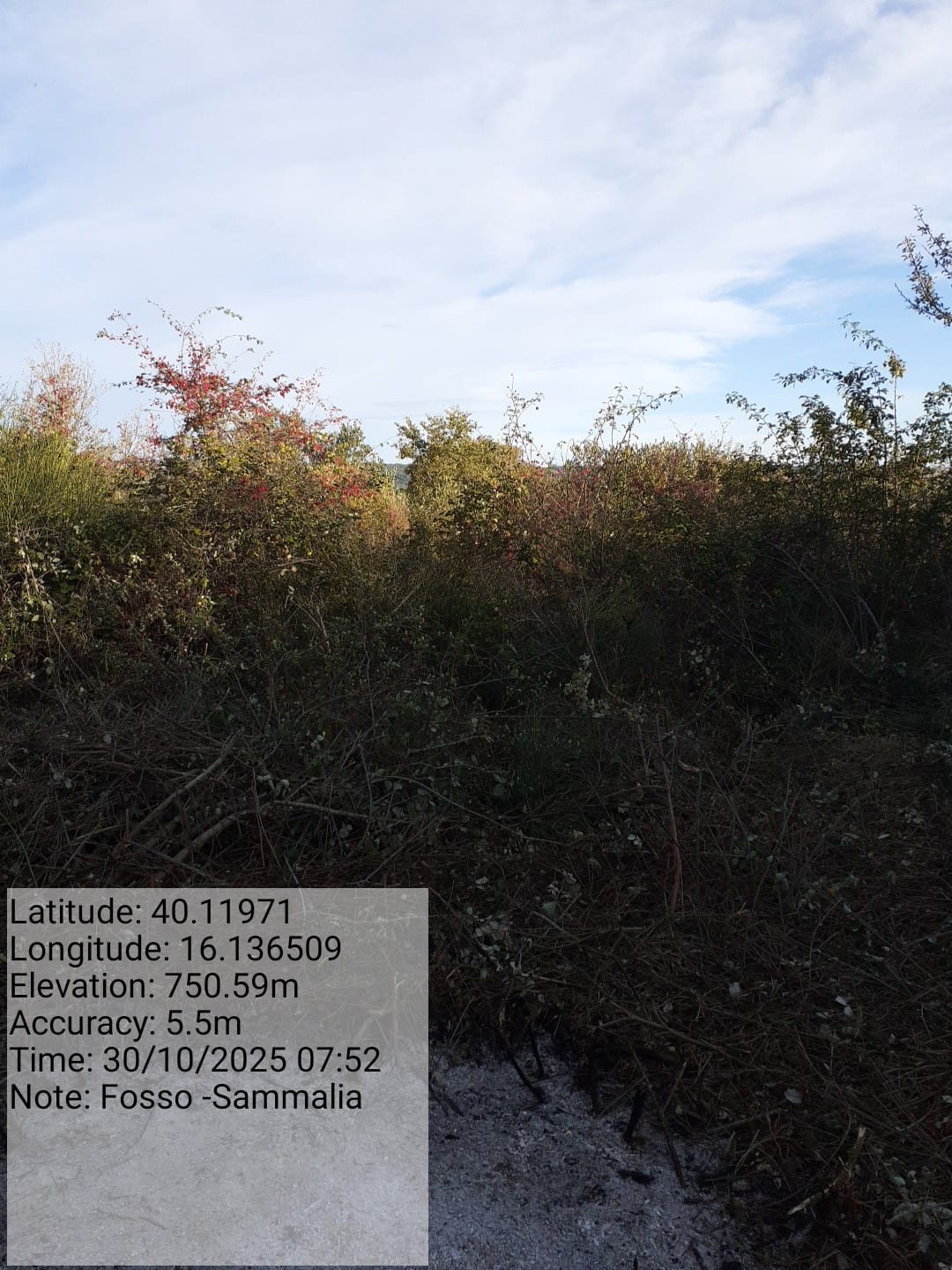 Galleria Fotografica Immagine