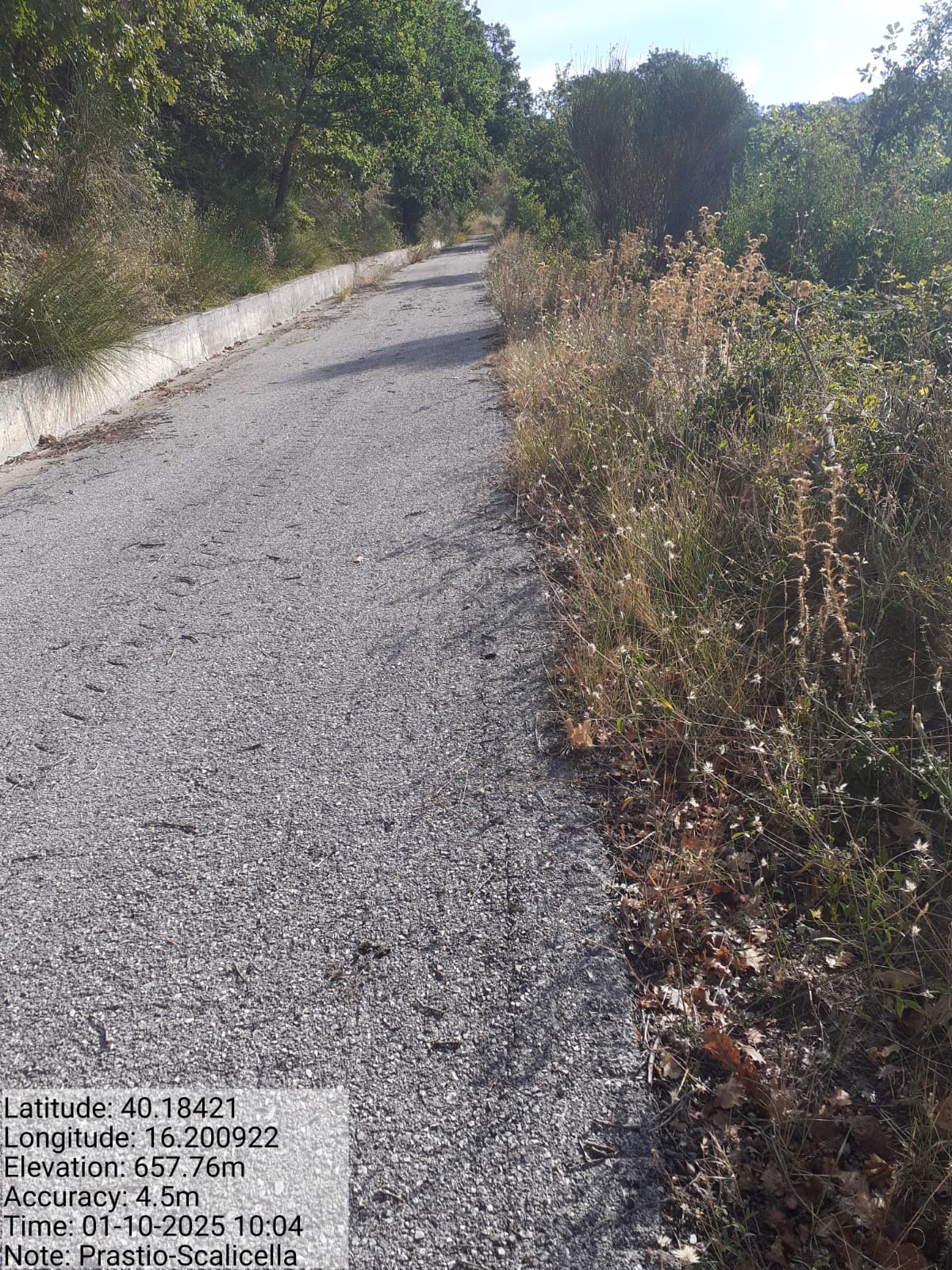 Galleria Fotografica Immagine