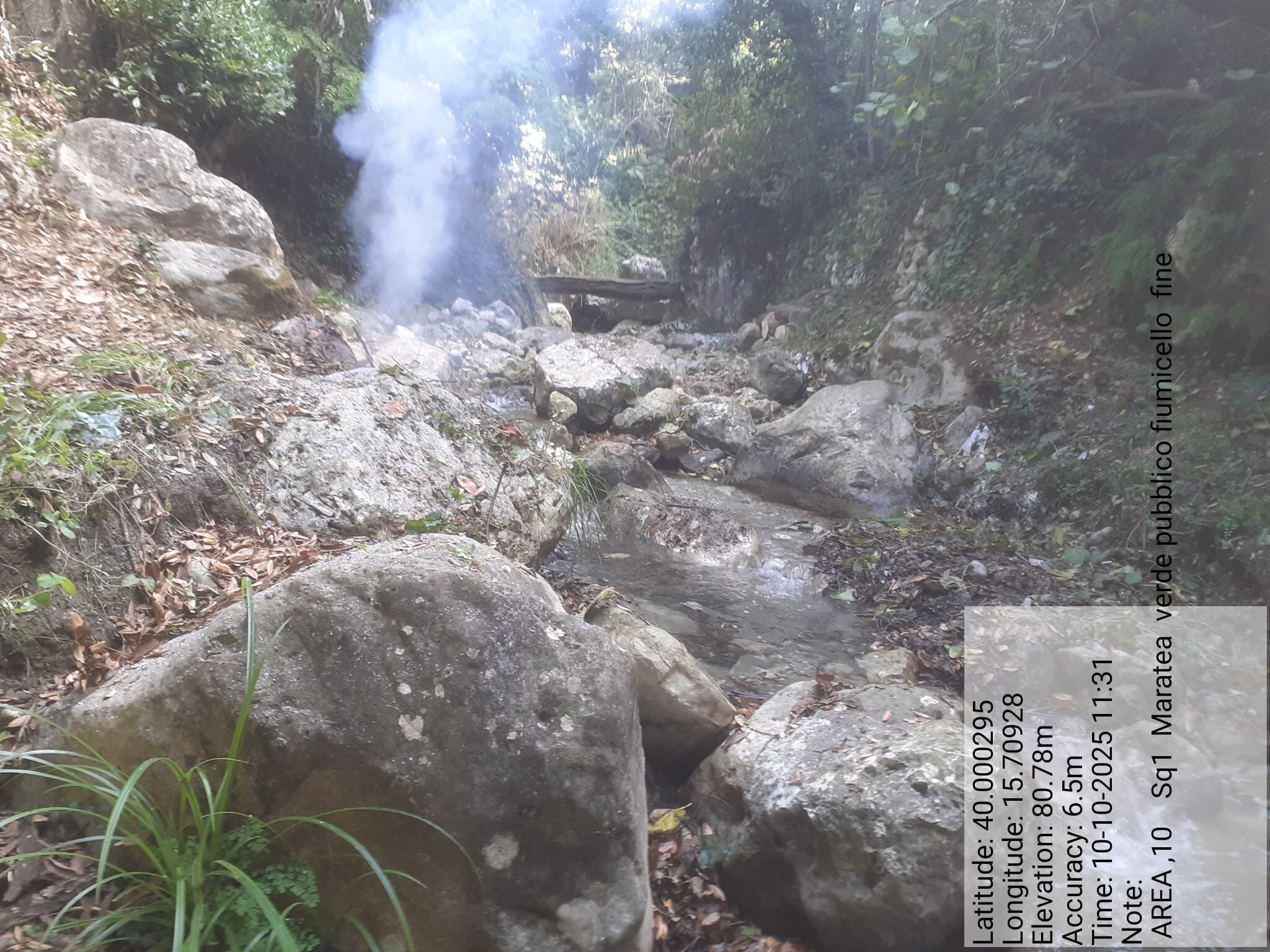 Galleria Fotografica Immagine